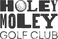 Holey Moley Mini Golf